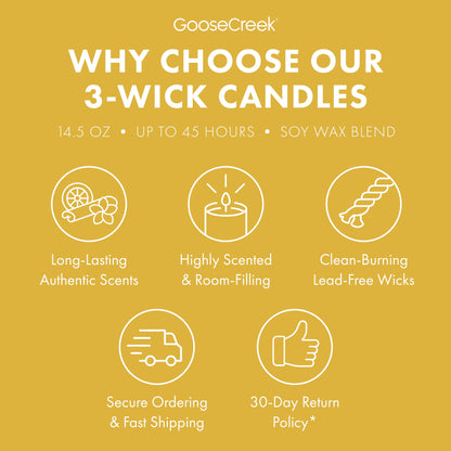 Catdog Nickelodeon 3-Wick Candle