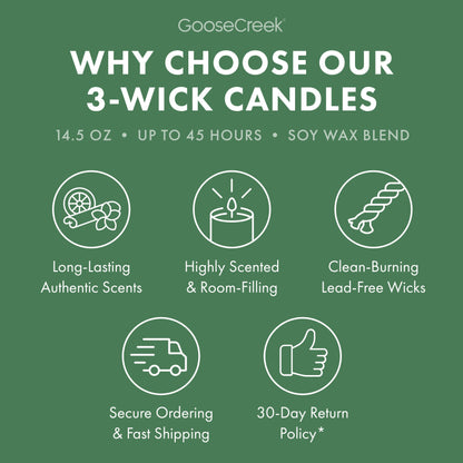 Patchouli Leaves 3-Wick Candle